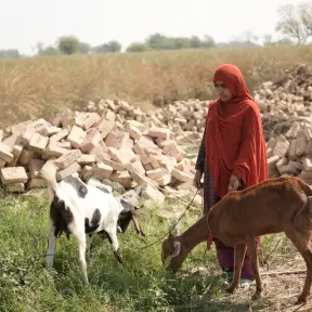Seeds of Tomorrow: Growing Hope in Pakistan’s Heartland