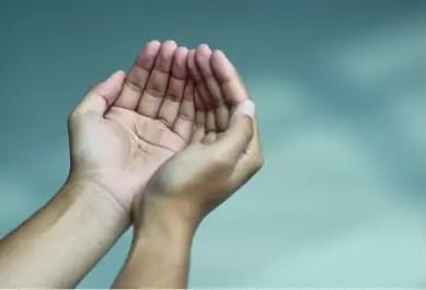 Image Style 03 _ 3_2 (Scroll cards) (1)