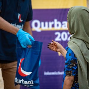 Collection fund prices - MONTHLY