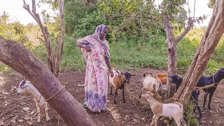 How to Perform Qurbani Correctly in Islam