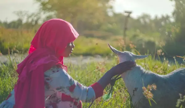 IH-Qurbani-2021-Campaign-Support-Photo-min-1200×802-1