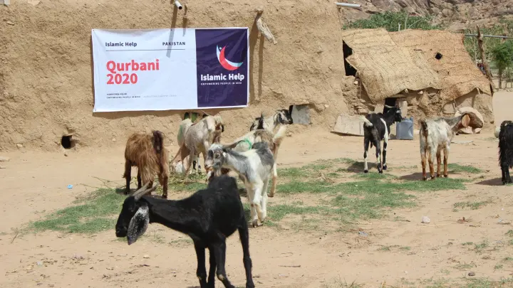 How Sadaqah Qurbani Works in Practice