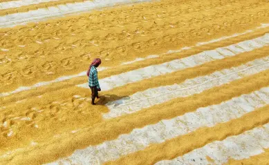 Image-2445-liteimage-720×405