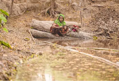 Image Style 03 _ 3_2 (Scroll cards) (2) (2)