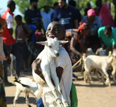 Qurbani