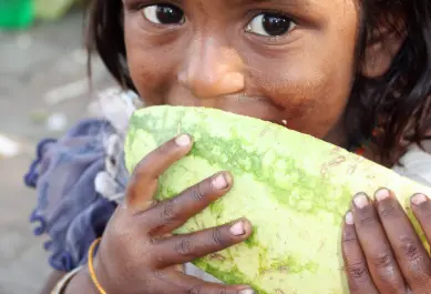 shutterstock_36243598